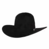 Rodeo King 10X Grizzly Black Hat