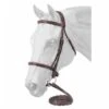 Premium Padded English Bridle