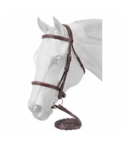 Premium Padded English Bridle