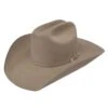 Resistol USTRC 20 Stone 6x Hat