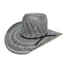 Rodeo King 25X Thunder Straw Hat