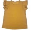 Wholesale Fashion Square Women's Layered Ruffle Sleeve Top