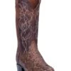 Dan Post Men's Manning Python Boot