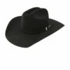 Resistol Black Gold Hat