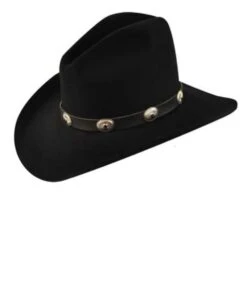 Bailey Tombstone Hat